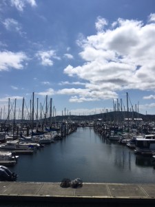 7A88D01F-D617-4095-AEF5-75EC30AF246D